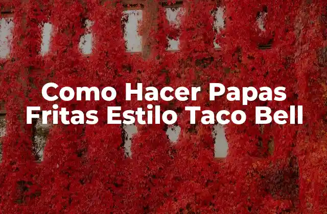 Como Hacer Papas Fritas Estilo Taco Bell