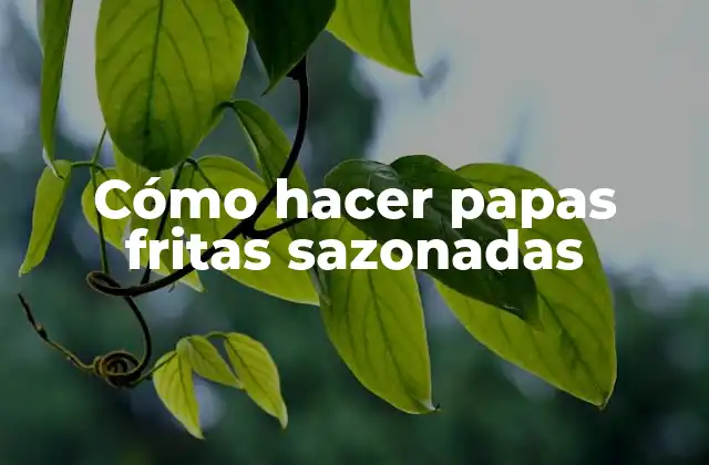 Cómo Hacer Papas Fritas Sazonadas