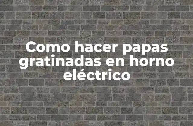 Como Hacer Papas Gratinadas en Horno Eléctrico