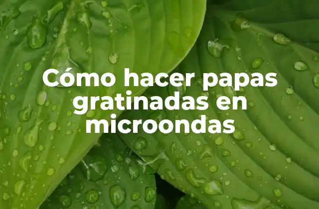 Cómo Hacer Papas Gratinadas en Microondas