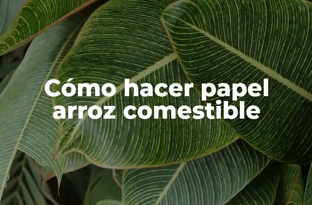 Cómo Hacer Papel Arroz Comestible