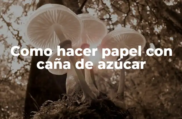 Como Hacer Papel con Caña de Azúcar