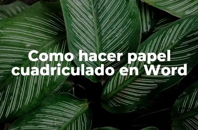 Como Hacer Papel Cuadriculado en Word