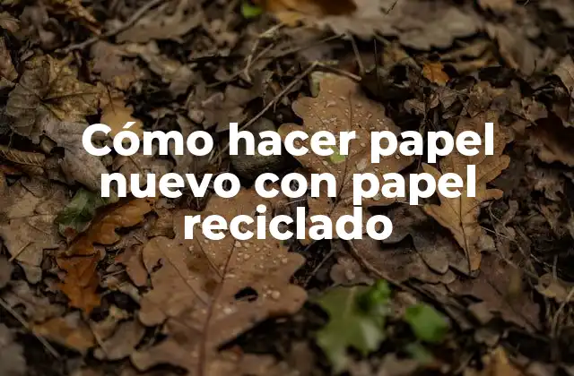 Cómo Hacer Papel Nuevo con Papel Reciclado
