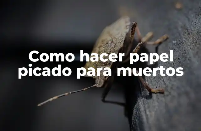 Como Hacer Papel Picado para Muertos