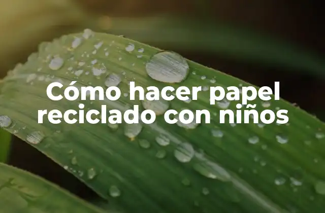 Cómo Hacer Papel Reciclado con Niños