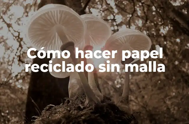 Cómo Hacer Papel Reciclado sin Malla