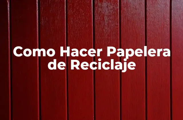 Como Hacer Papelera de Reciclaje