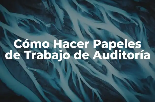 Cómo Hacer Papeles de Trabajo de Auditoría