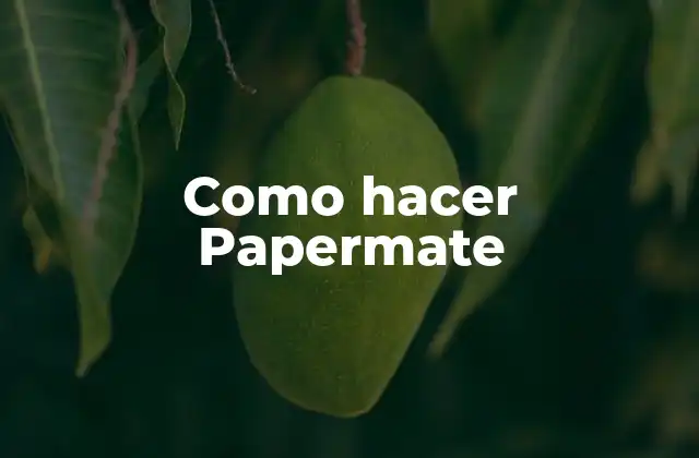 Como Hacer Papermate