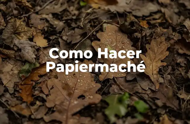 Como Hacer Papiermaché