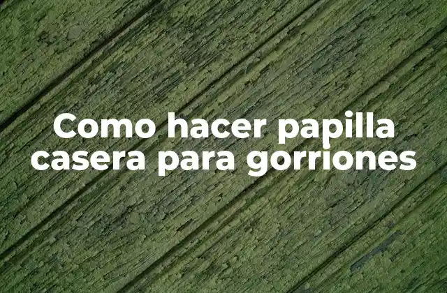 Como Hacer Papilla Casera para Gorriones 2 ¿Qué es la papilla casera para gorriones?