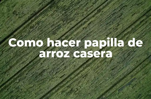 Como Hacer Papilla de Arroz Casera