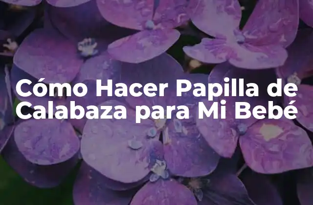 Cómo Hacer Papilla de Calabaza para Mi Bebé