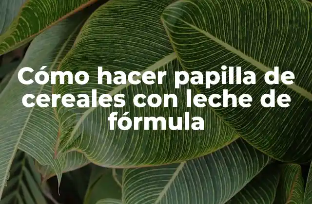 ¿Qué es una papilla de cereales con leche de fórmula?