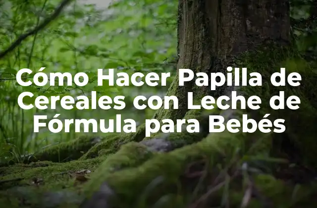 Cómo Hacer Papilla de Cereales con Leche de Fórmula para Bebés