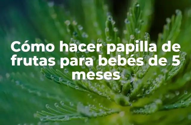 Cómo Hacer Papilla de Frutas para Bebés de 5 Meses 2 Cómo hacer papilla de frutas para bebés de 5 meses