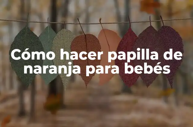 Cómo Hacer Papilla de Naranja para Bebés