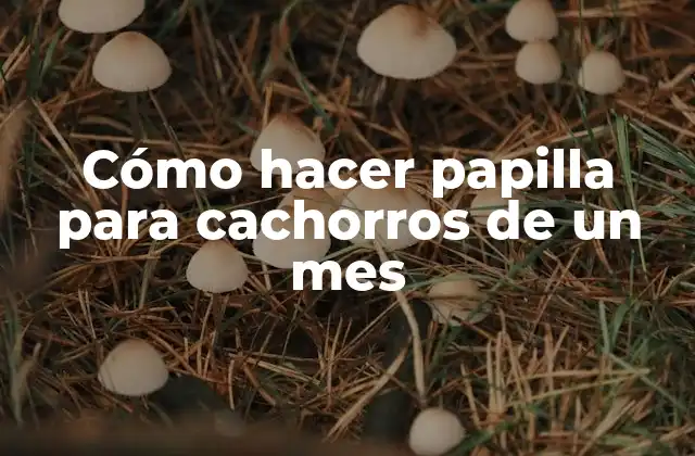 Cómo Hacer Papilla para Cachorros de un Mes