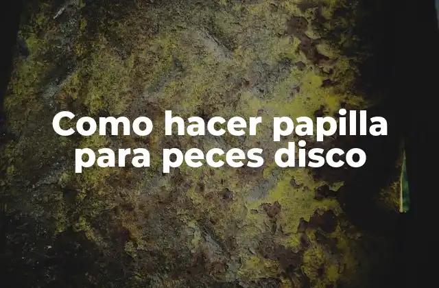 Como Hacer Papilla para Peces Disco 2 ¿Qué es la papilla para peces disco?