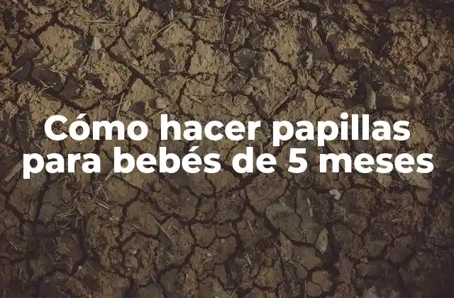 Cómo Hacer Papillas para Bebés de 5 Meses