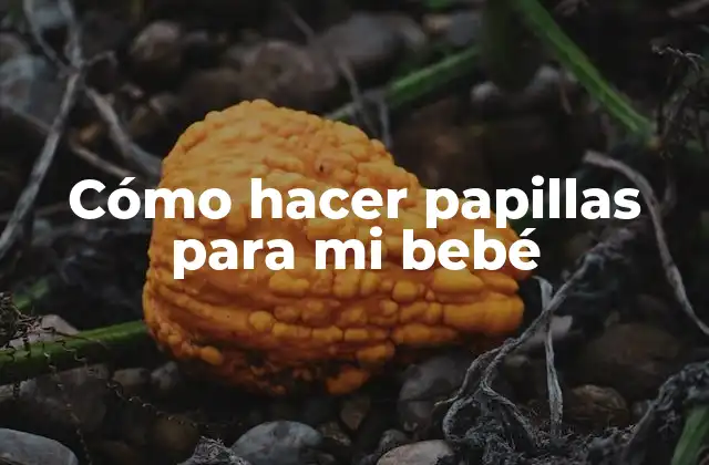 Cómo Hacer Papillas para Mi Bebé