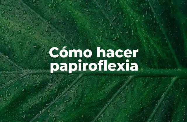 Cómo Hacer Papiroflexia