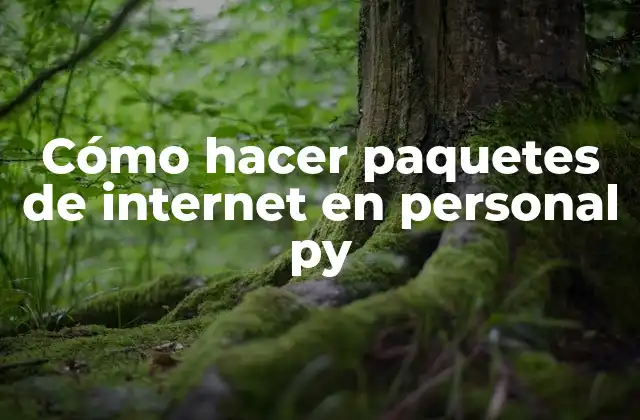 Cómo Hacer Paquetes de Internet en Personal Py