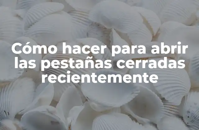 Cómo Hacer para Abrir las Pestañas Cerradas Recientemente