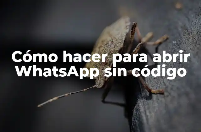 Cómo Hacer para Abrir Whatsapp sin Código