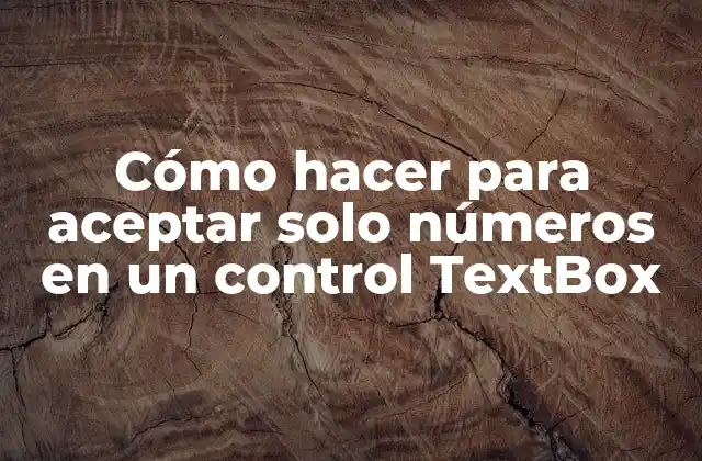 Cómo Hacer para Aceptar Solo Números en un Control Textbox