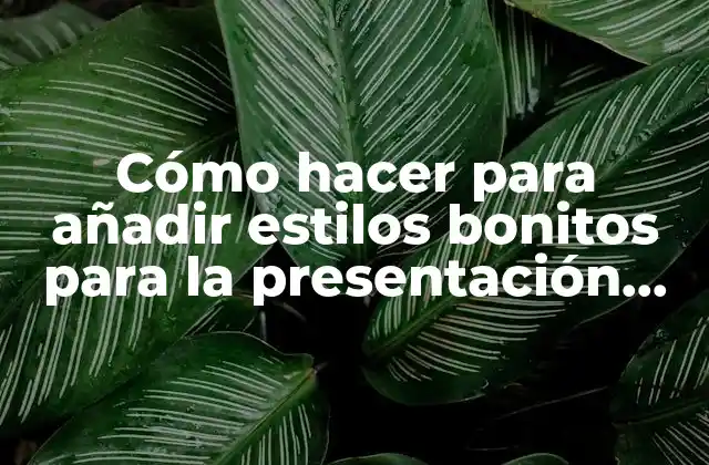 Cómo hacer para añadir estilos bonitos para la presentación PowerPoint