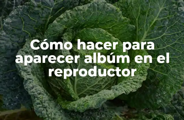 Cómo Hacer para Aparecer Albúm en el Reproductor