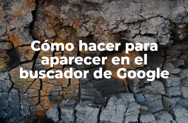 Cómo Hacer para Aparecer en el Buscador de Google