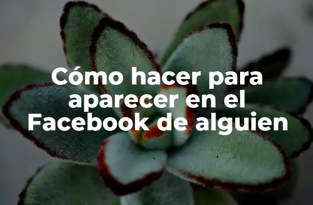 Cómo Hacer para Aparecer en el Facebook de Alguien