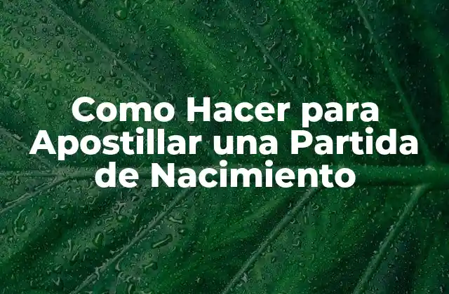 Apostillar una Partida de Nacimiento