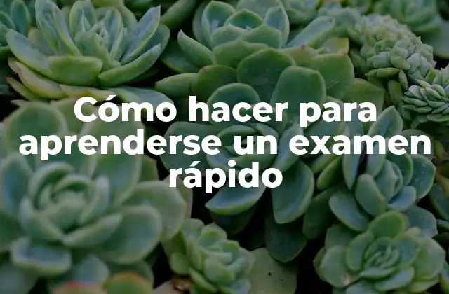 Cómo Hacer para Aprenderse un Examen Rápido