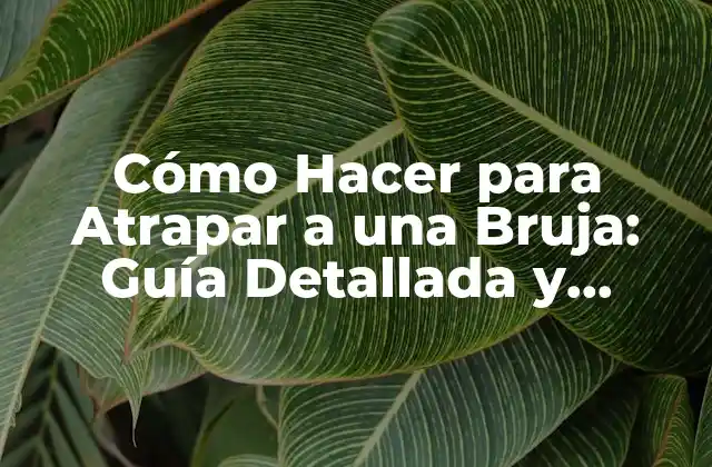 Cómo Hacer para Atrapar a una Bruja: Guía Detallada y Completa