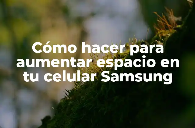 Cómo Hacer para Aumentar Espacio en Tu Celular Samsung 2 Cómo hacer para aumentar espacio en tu celular Samsung