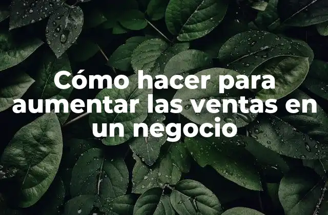 Cómo Hacer para Aumentar las Ventas en un Negocio