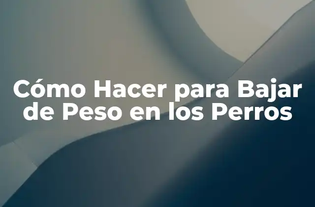 Cómo Hacer para Bajar de Peso en los Perros