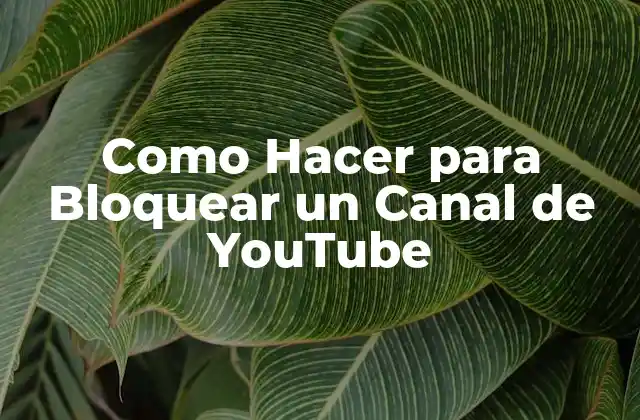 Como Hacer para Bloquear un Canal de Youtube