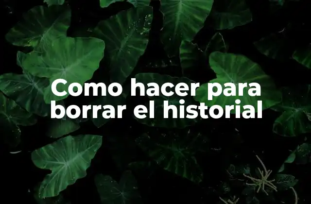 Como Hacer para Borrar el Historial