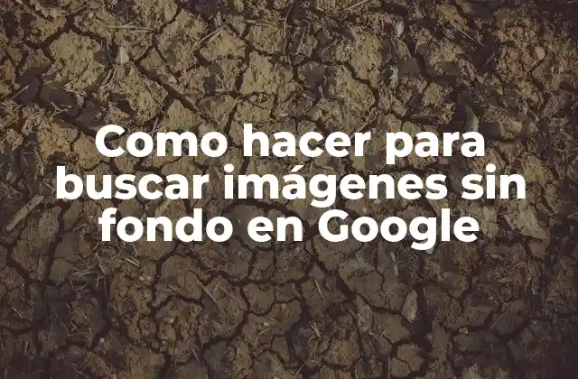 Como Hacer para Buscar Imágenes sin Fondo en Google