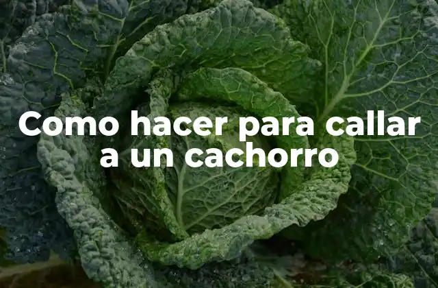 Como Hacer para Callar a un Cachorro 2 ¿Qué es la educación canina?