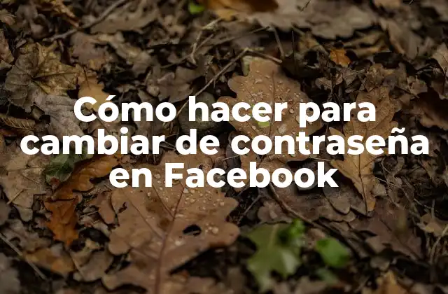 Cómo Hacer para Cambiar de Contraseña en Facebook 2 Cómo hacer para cambiar de contraseña en Facebook