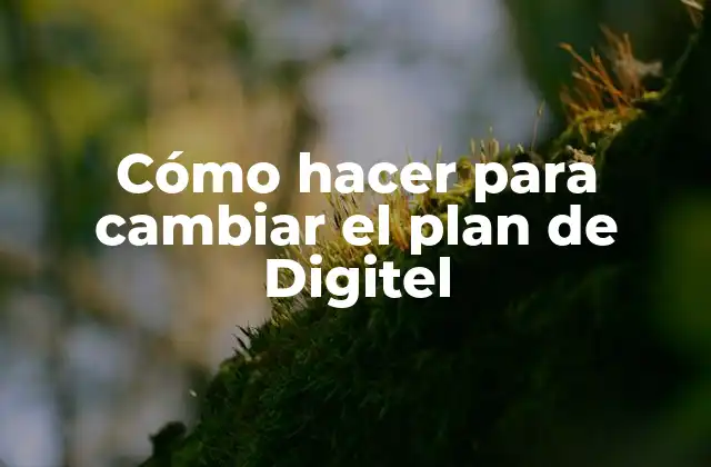 Cómo Hacer para Cambiar el Plan de Digitel