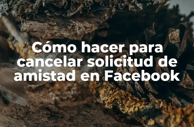 Cómo Hacer para Cancelar Solicitud de Amistad en Facebook