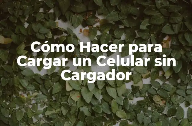 Cómo Hacer para Cargar un Celular sin Cargador