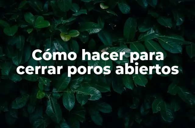Cómo Hacer para Cerrar Poros Abiertos